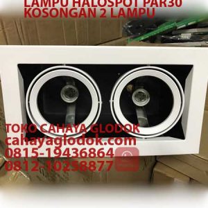 lampu halospot par30