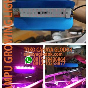 lampu untuk pertumbuhan tanaman