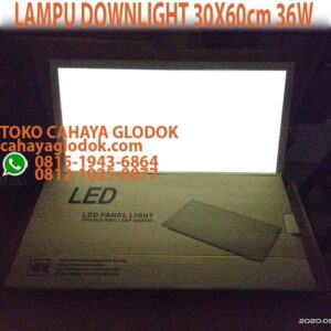 lampu downlight 30x60