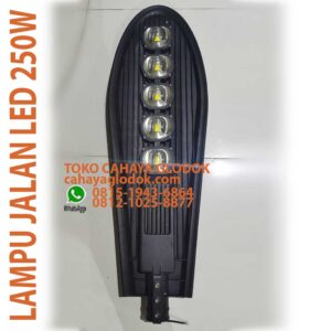 lampu jalan 250w
